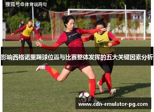 影响西格诺里踢球位置与比赛整体发挥的五大关键因素分析 影响西格诺里踢球位置与比赛整体发挥的五大关键因素分析